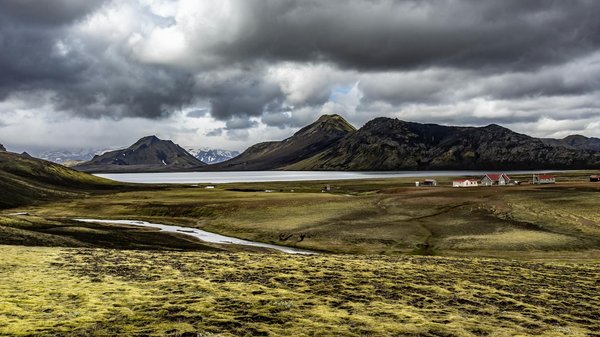 Exploring the Impact of Plant-Powered Nutrition on Hormonal Harmony in Menopausal Women